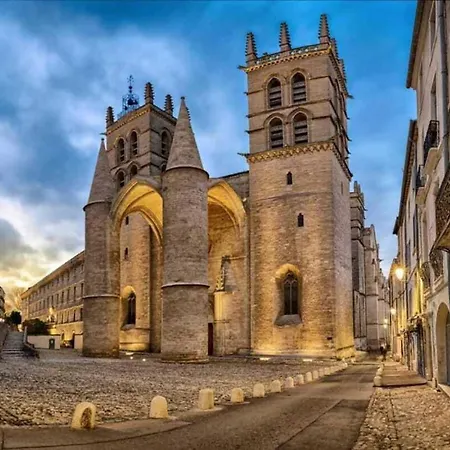 Apartament Le Roi - Climatisation A 2 Pas De La Gare St Roch *